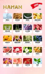 Haman煙彈 哈門高品質電子煙煙彈 多樣口味推薦 台灣現貨