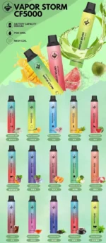 VAPOR STORM 5000 PUFFS 拋棄式電子煙 飛霧發光一次性電子煙桿